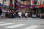Gara delle Bighe 2011-7738